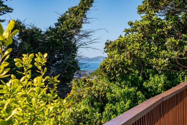 42 Milton Road Bluff Hill_1