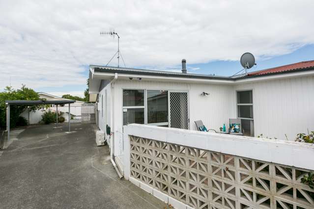 15 Plunket Street Tamatea_4