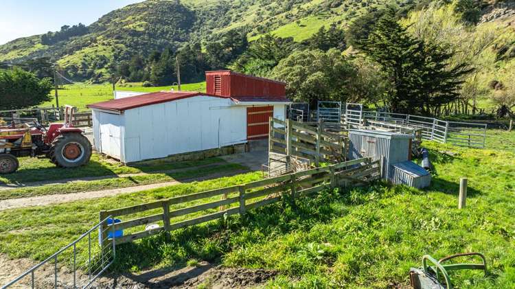 1234 Okains Bay Road Okains Bay_30