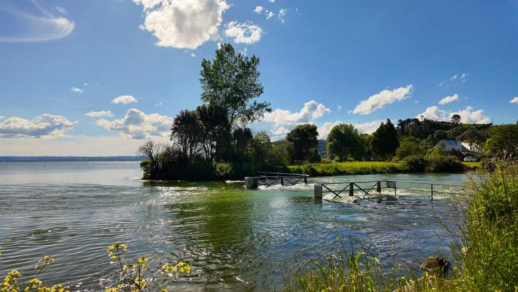 44 and 46 Takinga Street Mourea_30