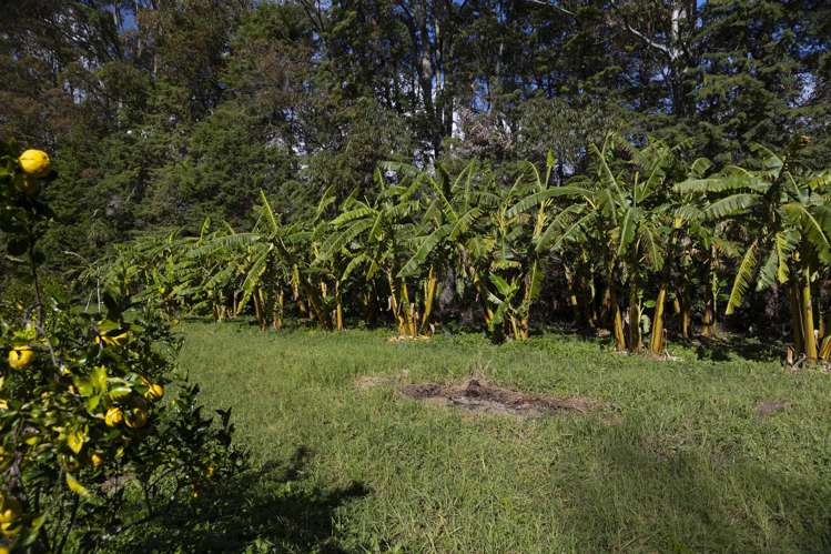 6934 State highway 1 Kaitaia Surrounds_21