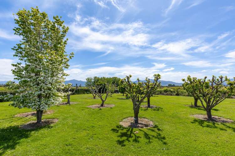 56 Thomsons Ford Road Rapaura_28