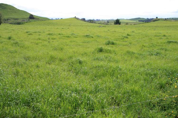 775 Bird Road Stratford_14