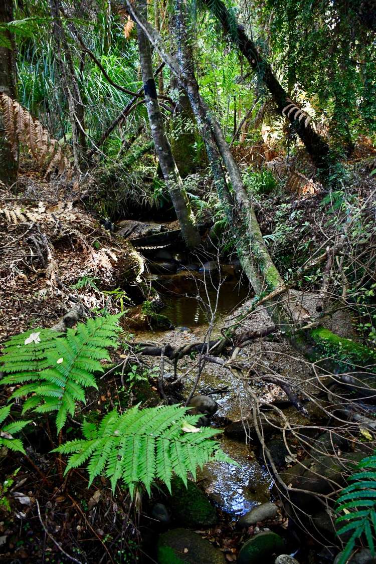 70 Sunset Heights Road Karamea_9