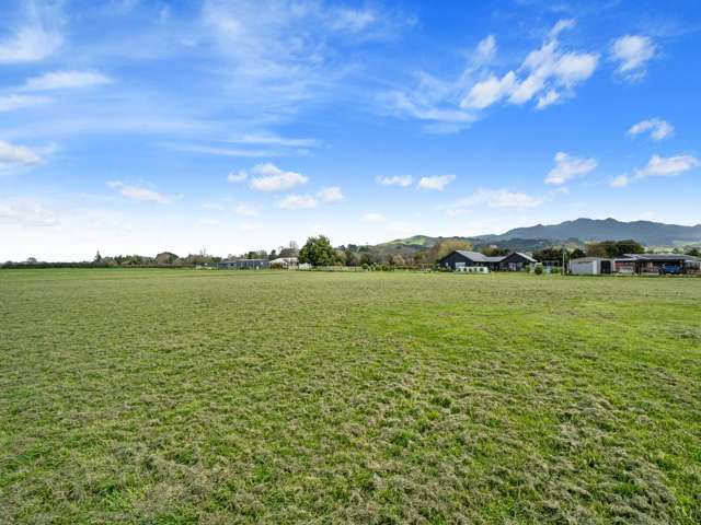 2/1070 Collinson Street Pirongia_1