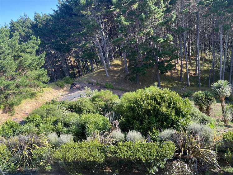 929 Redoubt Road Whitford_27