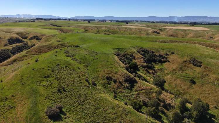 414 Beaconsfield Valley Road Waituna West_15