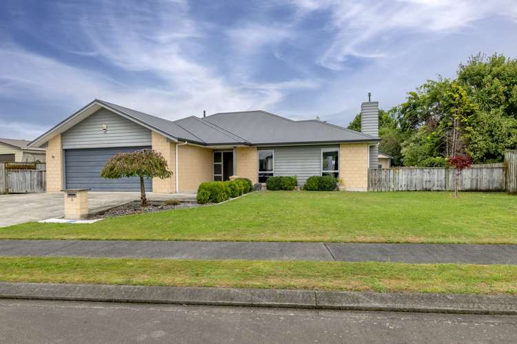 3 Toutouwai Terrace Levin_0