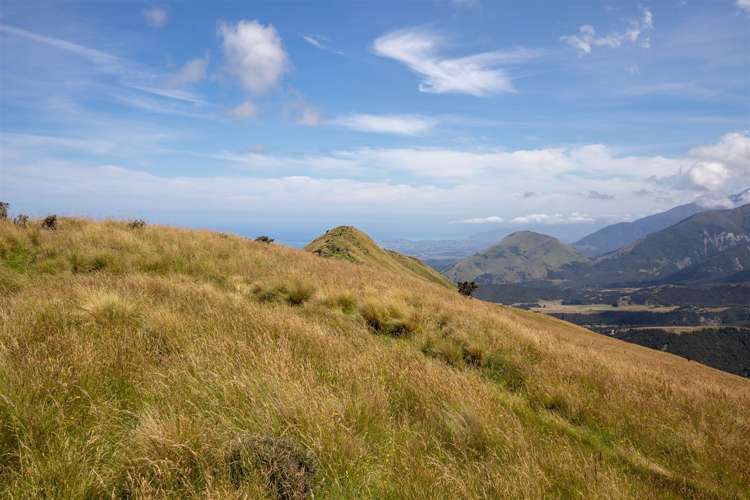 1178 Puhi Puhi Road Puhi Puhi_19