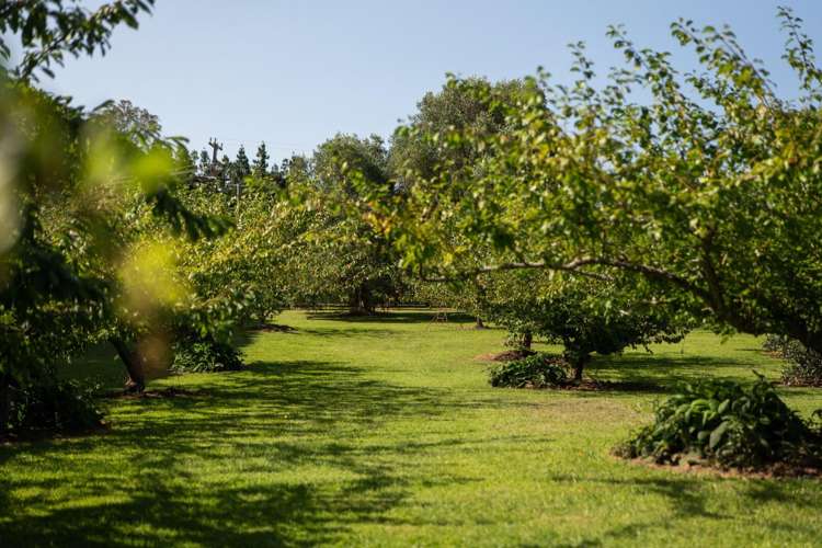 10A Bridgman Lane, Tanners Point Katikati_34