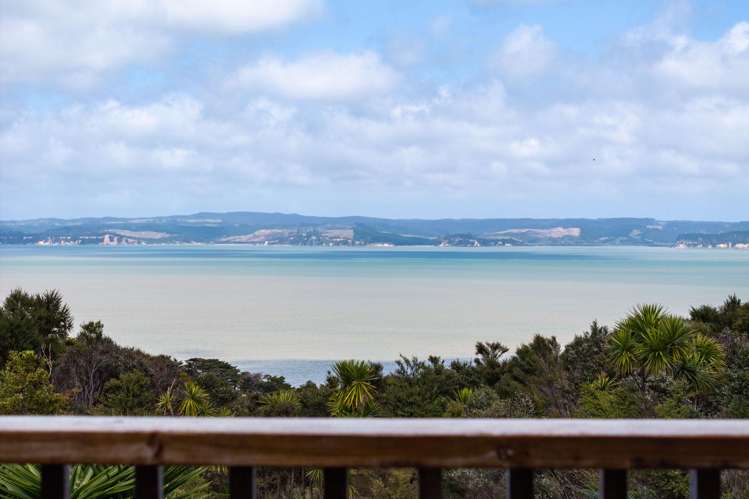 167 Summer Road Tinopai_9