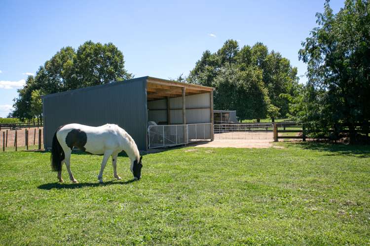 362c Pickering Road Tamahere_4