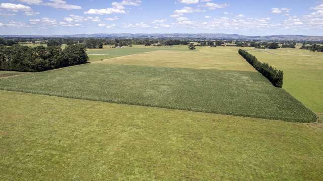 Jervois Road Dalefield/Wakatipu Basin_1