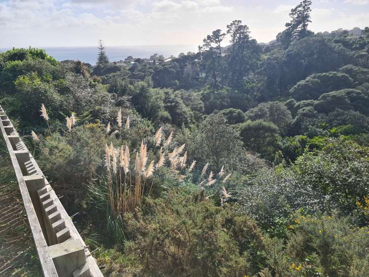 51b Trig Hill Road Onetangi_2