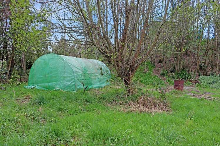 41 & 43 Johnston Road Nightcaps_10