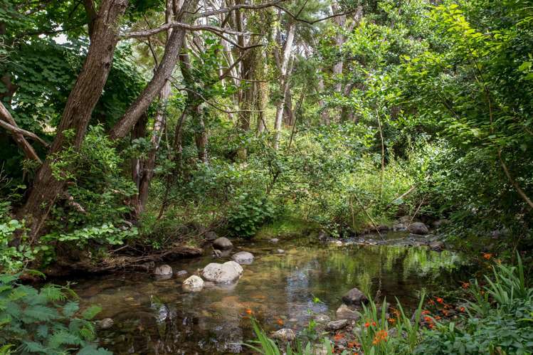 20 Usshers Road Little River_15