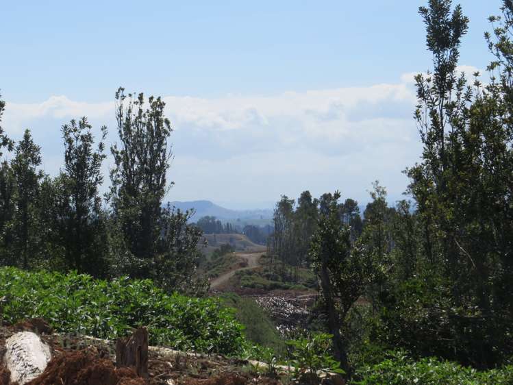 Waitomo Valley Road Otorohanga_23