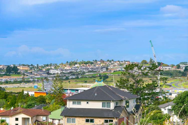 56 Gold Street Albany Heights_17