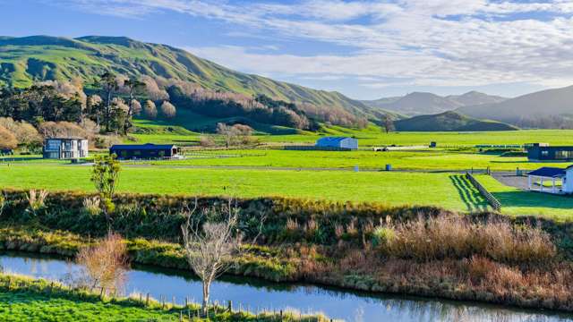 52 Punawaitai Road Pourerere_3