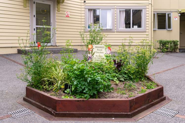 32/4 Sussex Street Mount Cook_8