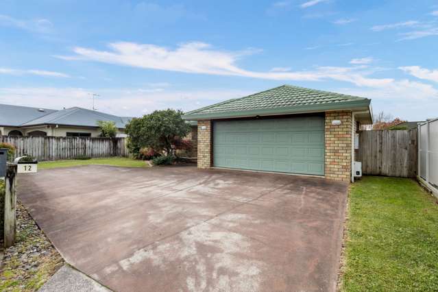 12 Greenough Place Rototuna_1