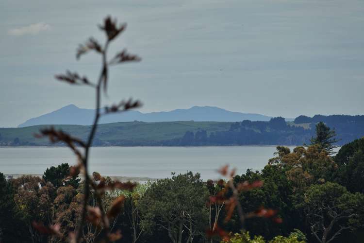 63e Lowe Road Whakamarama_14