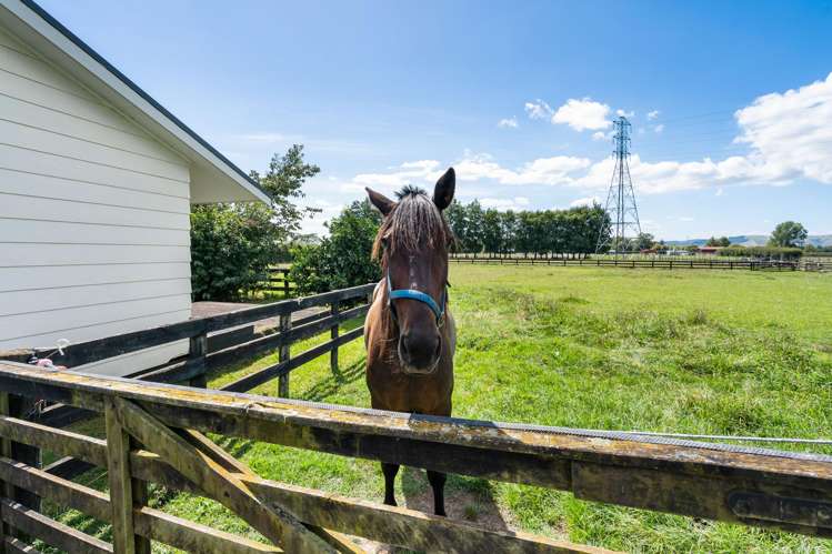 58 St Kilda Road Cambridge_2