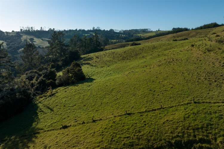 55a Toots Drive Kawakawa_33