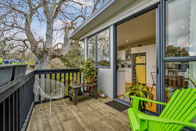 47a Hendry Avenue Hillsborough_10