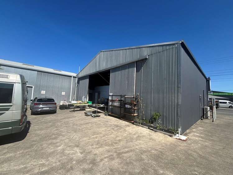 62 Austin Street Onekawa_4