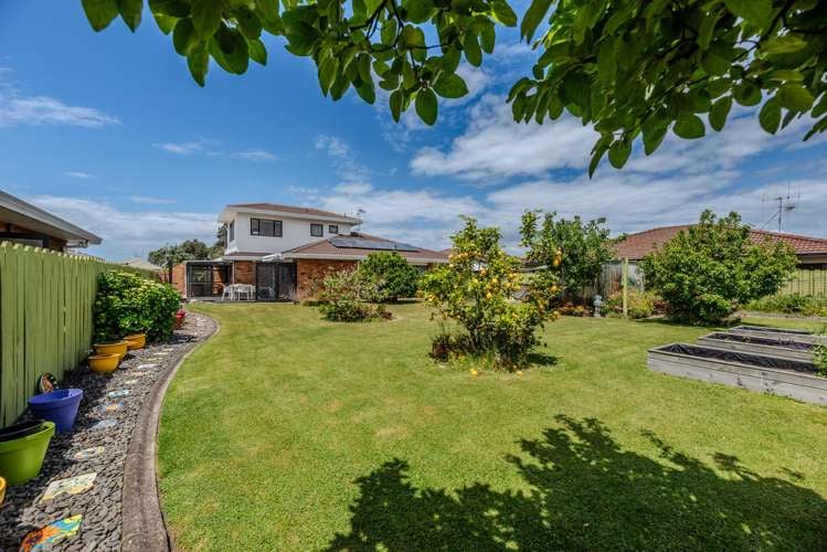 19 Hibiscus Avenue Mount Maunganui_15