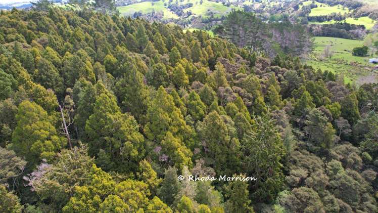 726 Paparoa Station Road Maungaturoto_62