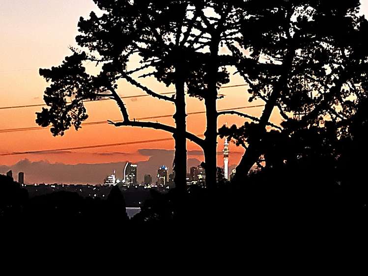 57 Jaemont Avenue Te Atatu South_20