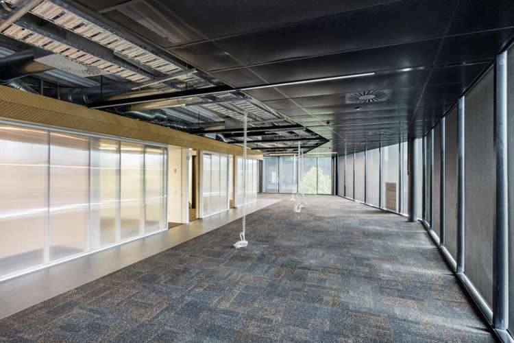 1/335 Lincoln Road Addington_13