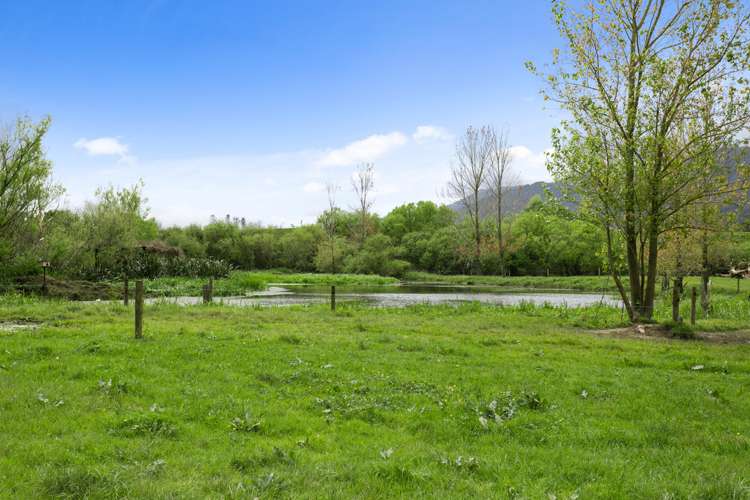 1084 Tower Road Turangaomoana_10