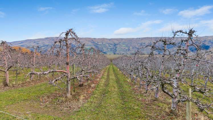 213 Kinaston Road Roxburgh_13