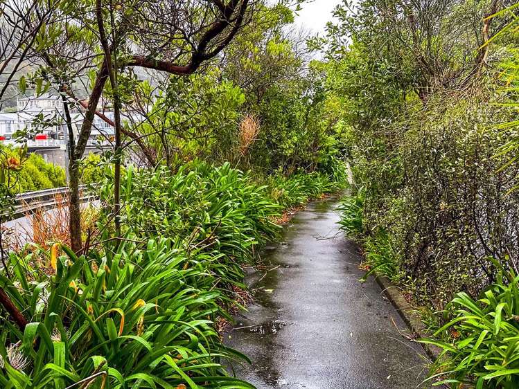 70 Hobson Street Thorndon_18