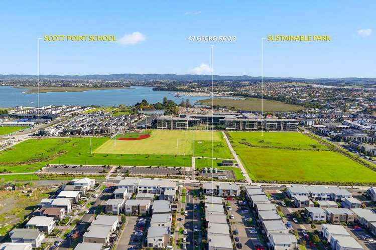 47 Gecko Road Hobsonville_19