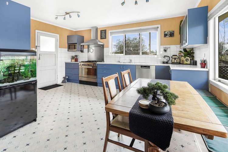 21 Osborne Avenue Morrinsville_6