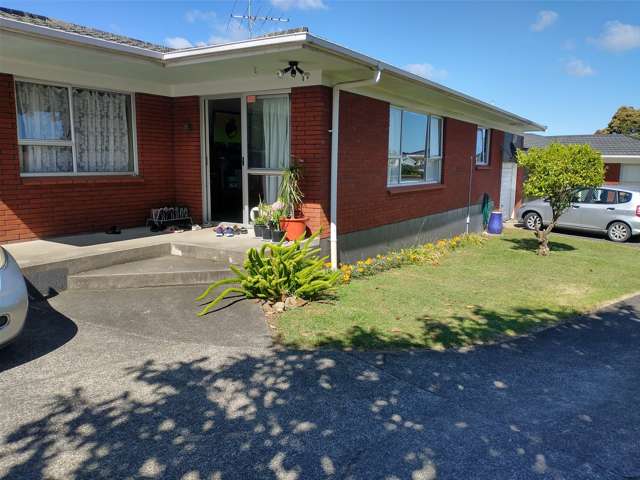 132 Seddon Street Pukekohe_1