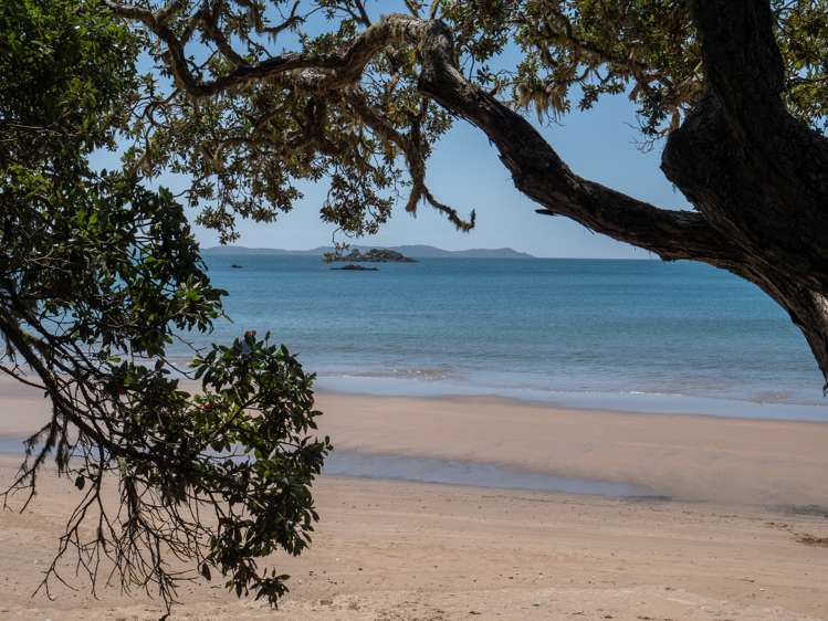 36 Bayside Drive Coopers Beach_13