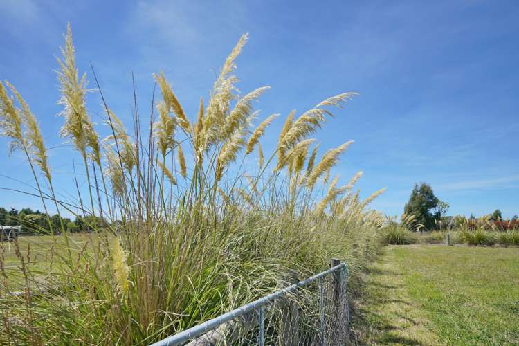 28 Orchard Place Clarkville_11