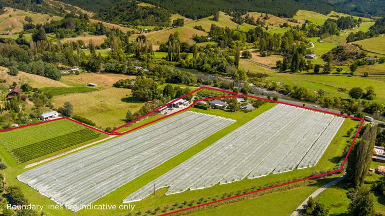 1469 Motueka Valley Highway Ngatimoti_16