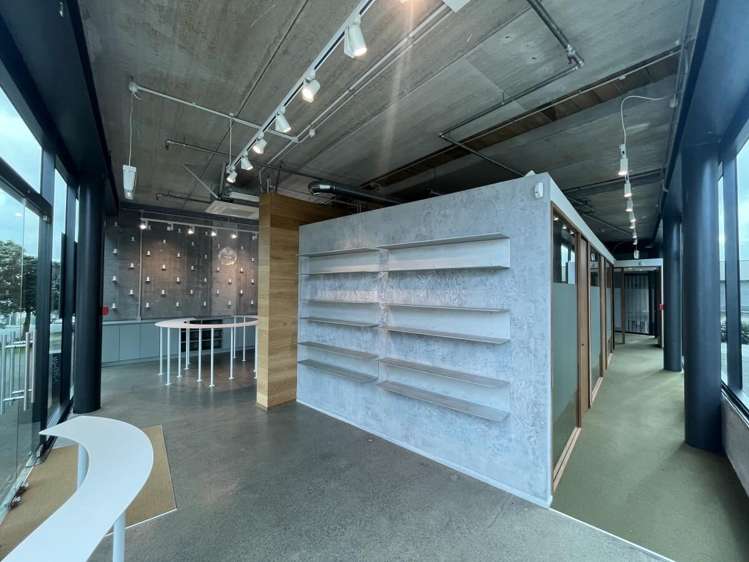 5 Crummer Road Grey Lynn_1