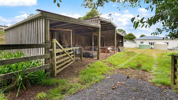 352 Kauri Road Onewhero_19