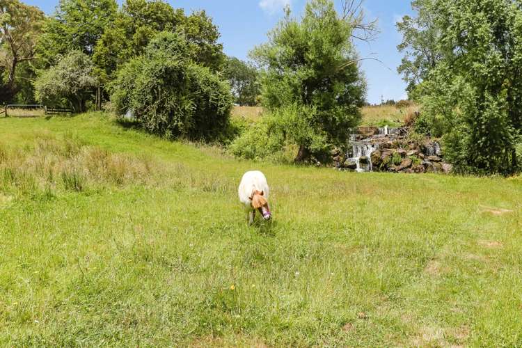 930 Ararimu Road Ararimu_25