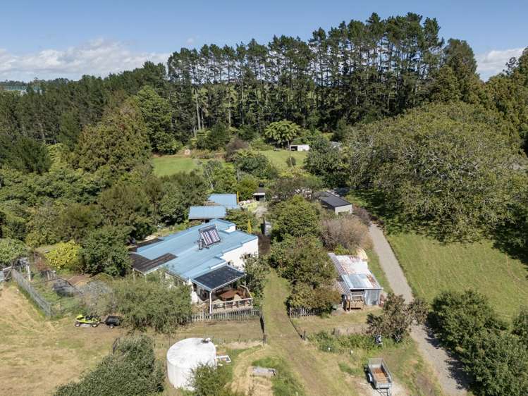 257D Whakamarama Road Whakamarama_19