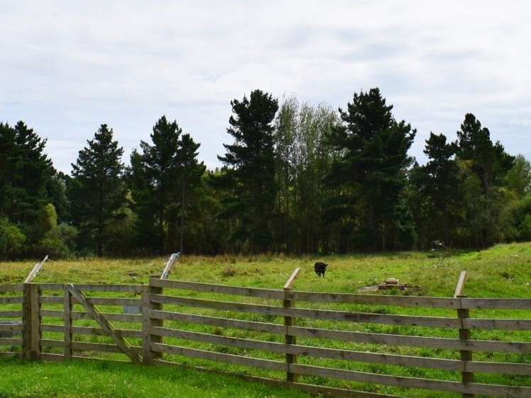 861 State Highway 1 Picton_18