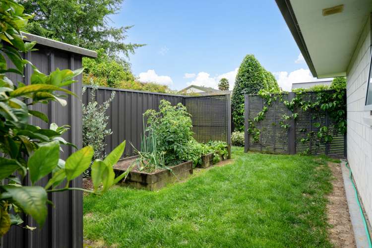 4 Dick Street Cambridge_21