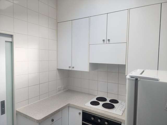 Charming 3BR Central Dunedin Home